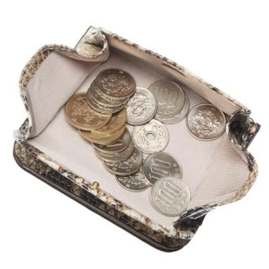 Align Made In Italy by Atema Cowhide Anaconda Diamantina BOX Coin Purse Bifold Wallet Elegant Python Embossed Money Luck Increase Present Gift Box