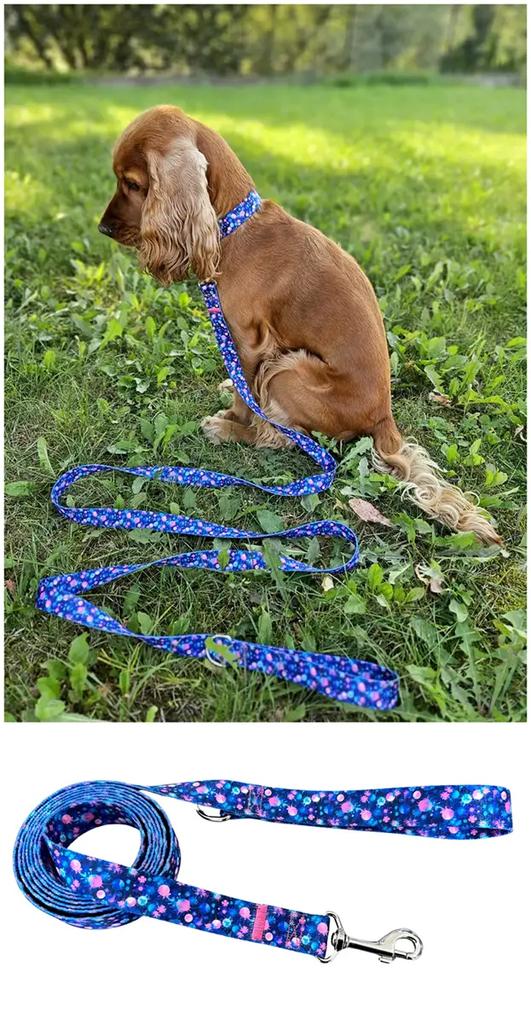 Dog Leash Traditional Strong HANDMADE AstroŚwiat Dog Leash Traditional Strong HANDMADE AstroŚwiat L - 200cm