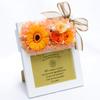 Gerbera Photo Frame Preserved Flower Photo Frame Wood Frame Photo L 89 X 127mm Frame Width 16cm Length 6cm Height 19cm Gerbera Orange Lulu's Lulu's