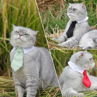 Pet Necktie Stylish Adjustable Bright Color Fastener Tape Closure Dogs Cats Necktie Collar Pet Accessory