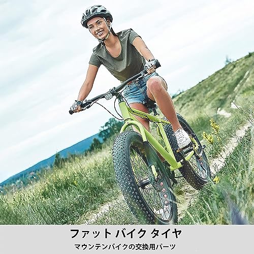 MOHEGIA Fat Tire: 20 X 4.0" Fat Bike Tire - Folding Bead Electric Bicycle Tire - Wide Fit for Mountain and Snow Bikes - Black