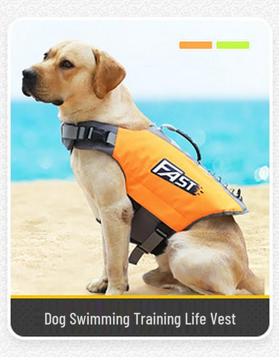 Second Generation Adjustable Dog Backpack - Summer Breathable, In Stock