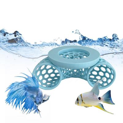 Peces y mascotas acuáticas – Decoración de peceras