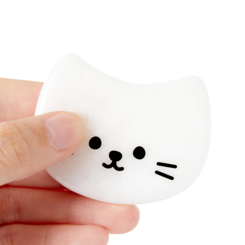 Appareil dentaire Chat Blanc (26032264)