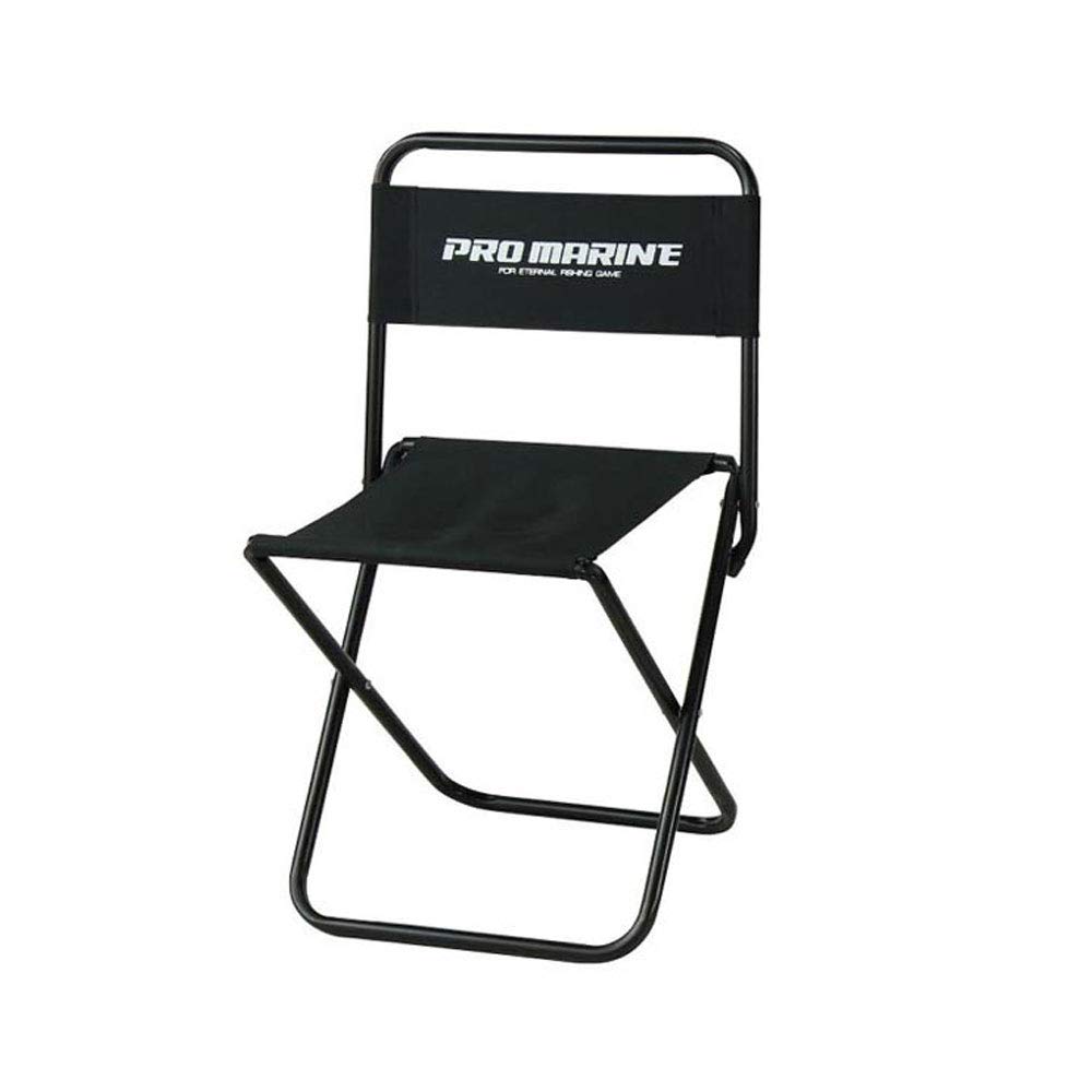 PRO MARINE Pipe Chair, Large, Random Color, LEE350-L, Black, Blue, Red