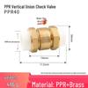 Copper Horizontal Bathroom Double Backflow One-Way Check Valve, Household Water Pipe Fittings, Non-Return Valve, 4/6 inch (DN20/25).