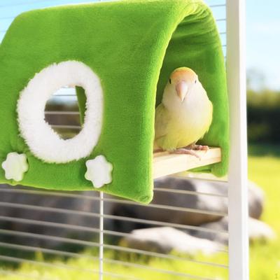 Oiseaux – Cages et accessoires