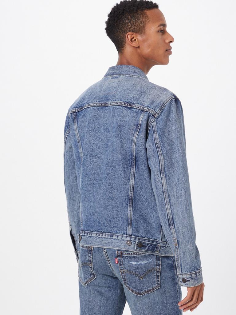 Демисезонная куртка Levi's Herren The Trucker Jacket Man (72334-0573) skyline