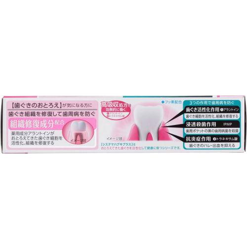 Set of 2 Lion Systema Haguki Plus Toothpaste (90g) - Medicated Toothpaste