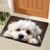 Cute Maltese Dog Pattern Welcome Floor Mat, Indoor and Outdoor Door Mat