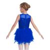 Robe de spectacle de danse pour filles Sans manches Fermeture éclair invisible au dos Patchwork en maille transparente Sequins brillants Plume Velours Robe