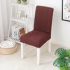 Luxury Minimalist Elastic One-Piece Chair and Sofa Cover