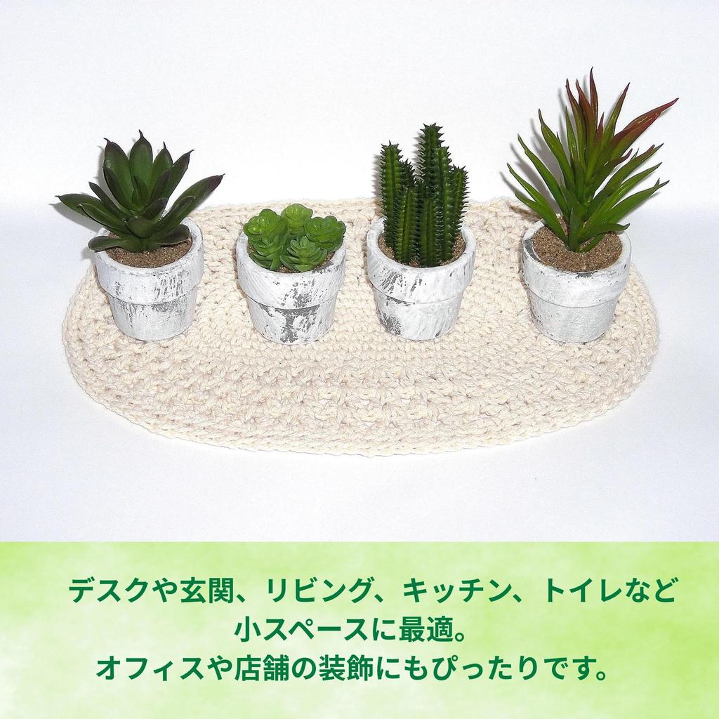 12-Piece Mini Cactus Assortment Set, Faux Greenery, Perfect for Home Decor, Desks, Kitchen Counters, and Store Decor. Perfect for Everlasting Plants.