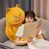 Soft Cat Plush Doll Fluffy Cat Stuffed Toy British Shorthair Cat Plush  Children's Toys