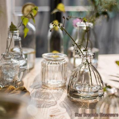 Mini Glass Flower Vase: European Style, Transparent Hydroponic Container for Desktop Flower Arrangements and Living Room Decor