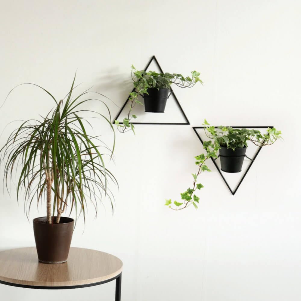 Kawabata Trading Wall Decor, Wall-Mounted Planter, Size 3 Pot, Iron, Modern, Stylish, Black, Entryway, Living Room, Interior Decor, Flower Pot