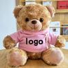 Teddy Bear Plush Toy with Cute Logo and School Emblem Design