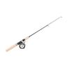 Ice Fishing Rod Reel Combo 75cm Winter Fishing Pole for Fathers Sons Husbands Boyfriends