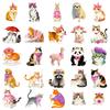 56 Cute Kitten Graffiti Stickers, Various Animal Suitcases, Handbooks, Notebooks, Decorative Stickers