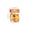 8pcs/Set New DIY Leaves Stickers Observing Leaves Adhesive Stationery Stickers Decorative Sticker Scrapbooking Diary Planner