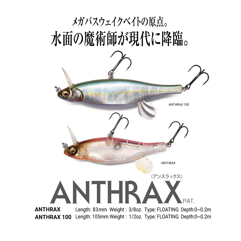 ANTHRAX GG Deadly Black Shad 100(SP-C)