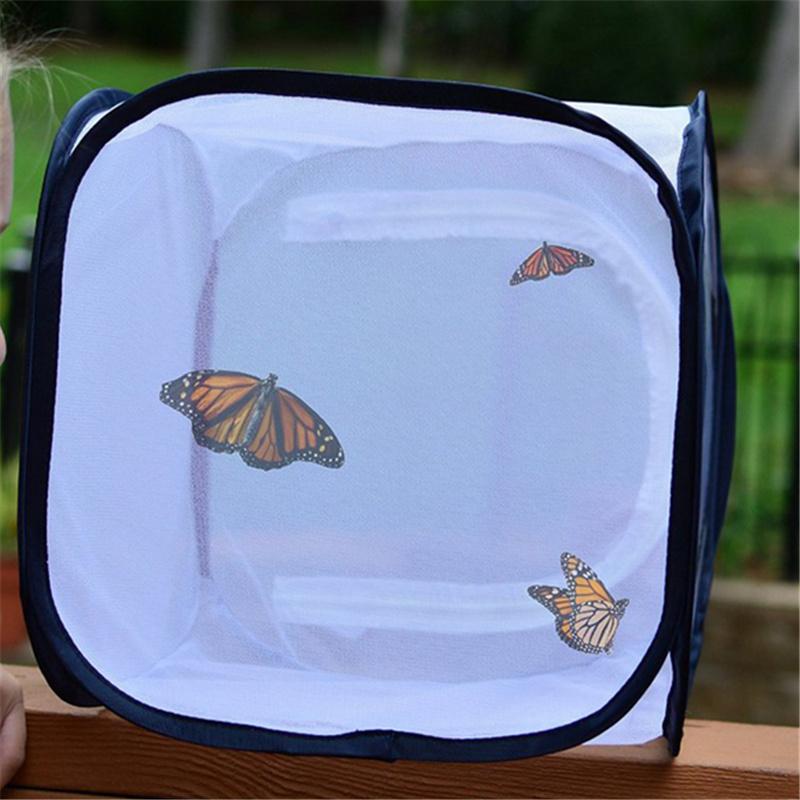 Foldable Insect Butterfly Observation Cage Insect Net Pet Insect Cage Insect Cage Grasshopper Habitat Breeding Incubator Box