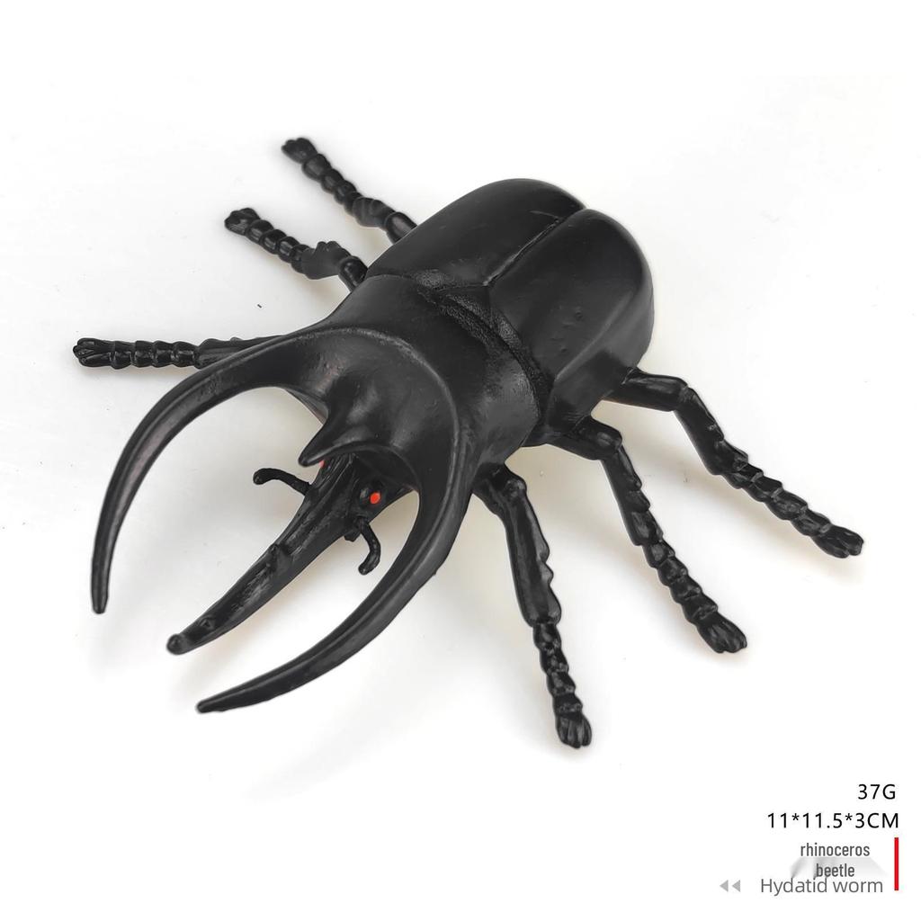 Children's Cognitive Teaching Toys: Insect Models - Butterfly, Ladybug, Rhinoceros Beetle, Bee, Grasshopper