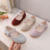 Cute and Fashionable Princess Shoes for Girls: Soft-Soled Performance Leather Shoes for Spring and Fall