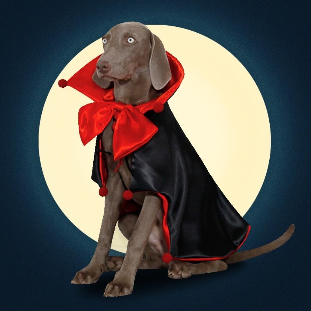 Adjustable Cat Cosplay Cloak Comfortable Dogs Knight Cape Halloween Pet Costume  All Saints' Day