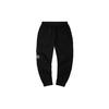 Li Ning Sports Pants Men's New Standard Black AKXQ195-1