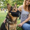 Practical Anti Bite Dog Mesh Muzzle Prevent Barking Soft Dog Mouth Guard Adjustable Breathable Puppy Grooming Sessions