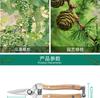Stainless Steel Ash Pruning Branches Floral Straight Handle Gardening Scissors Rose Scissors Pruning Pruning Garden Tools