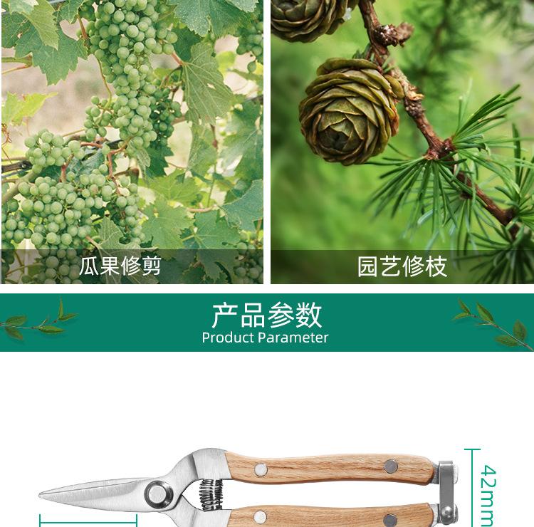 Stainless Steel Ash Pruning Branches Floral Straight Handle Gardening Scissors Rose Scissors Pruning Pruning Garden Tools