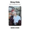 Stray Kids IN STANDARDVERSION. Offizielle Fotokarte