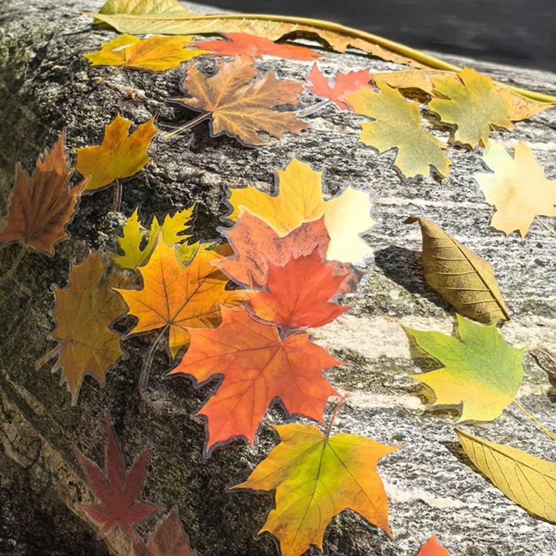 Leaf Sticker Removable Adhesive PET Sticker Label for Notebook Journal Phone Case Scrapbooking and Gift Wrapping