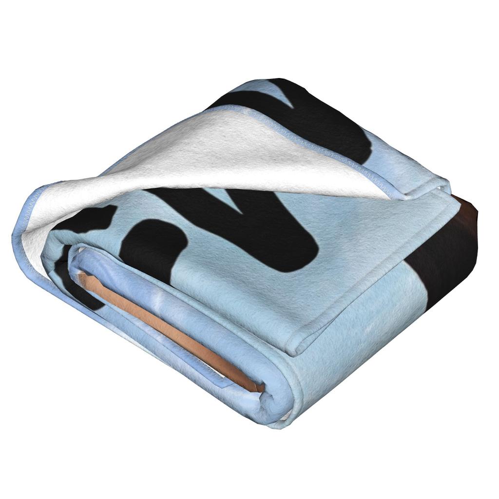 Aitanaed  Singer  Flannel Throw Blankets Blankets for Bed Couch Soft Bedroom Quilt,