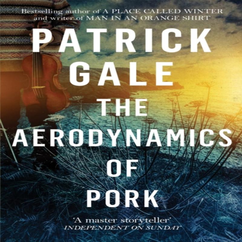 The Aerodynamics of Pork by Patrick Gale Paperback Book 9781472255600