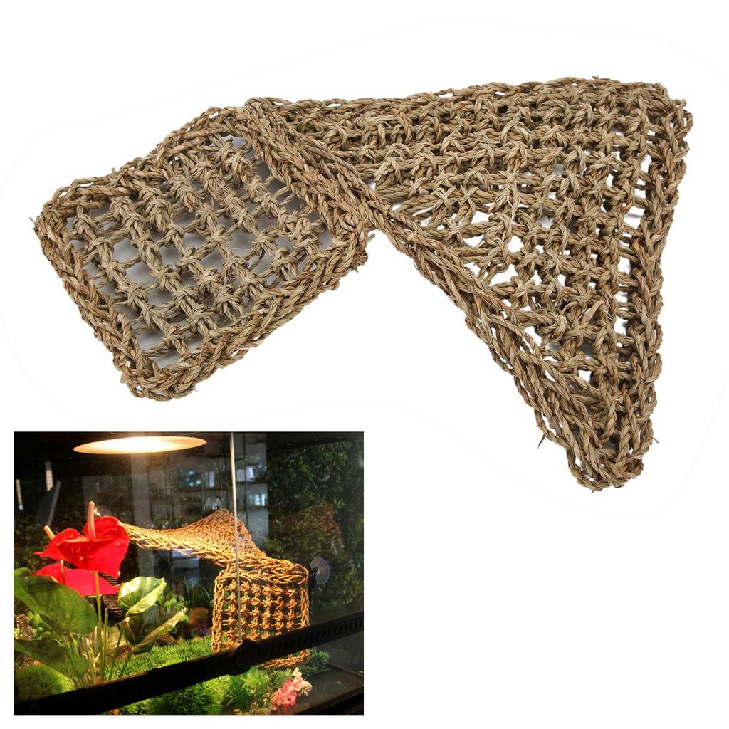 Echsen Kletter Hängematte Klettern Haustier Unterhaltung Dreieckige Seegras Dschungel Lianen Hängematte