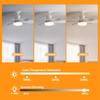 IRALAN Ceiling Fans with Light and Silent E27 Base 3 Color Dimming Sealing Fan Led Lighting for Room Kitchen Living Room Lights