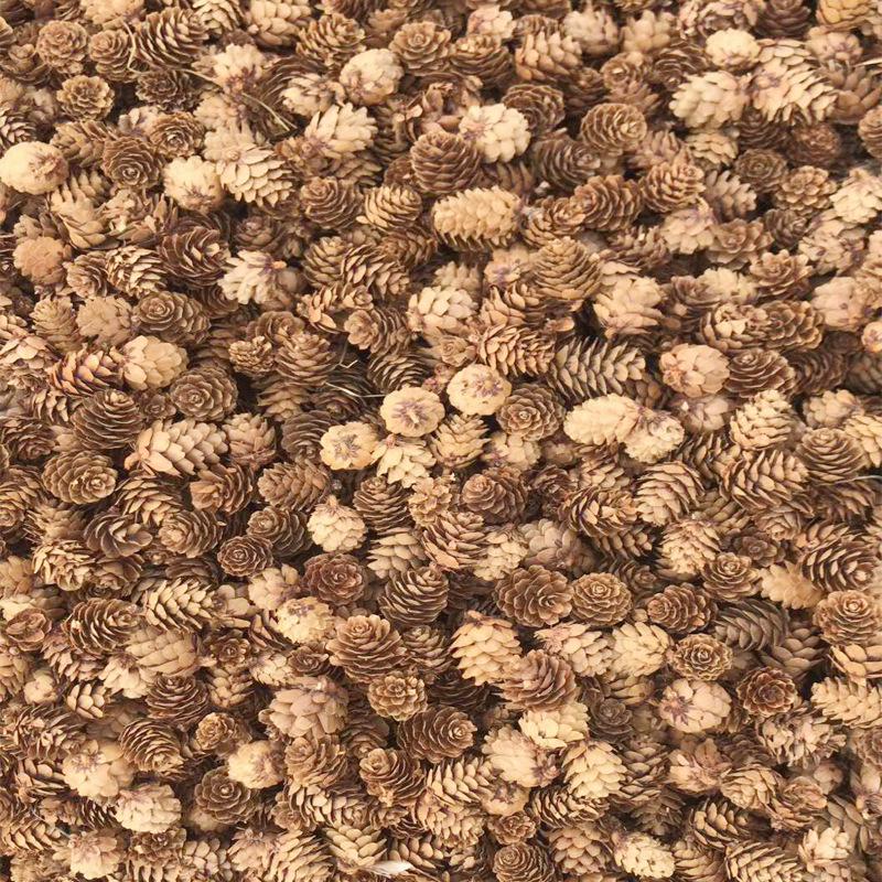 2-3cm Pinecone Dried Flowers for DIY Christmas Decorations and Ornaments