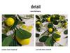 Artificial Lemon Wall Hanging Home Decoration - Green Plant Simulation