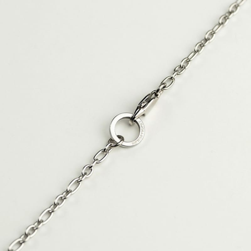 BICYCLE TROPHY S.S Chain Necklace 26 (all Surgical Steel / Figaro 3:1)