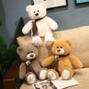 Couple Teddy Bear Doll Plush Toy Bear Hug Doll Rag Doll for Girlfriend Valentine's Day Gift