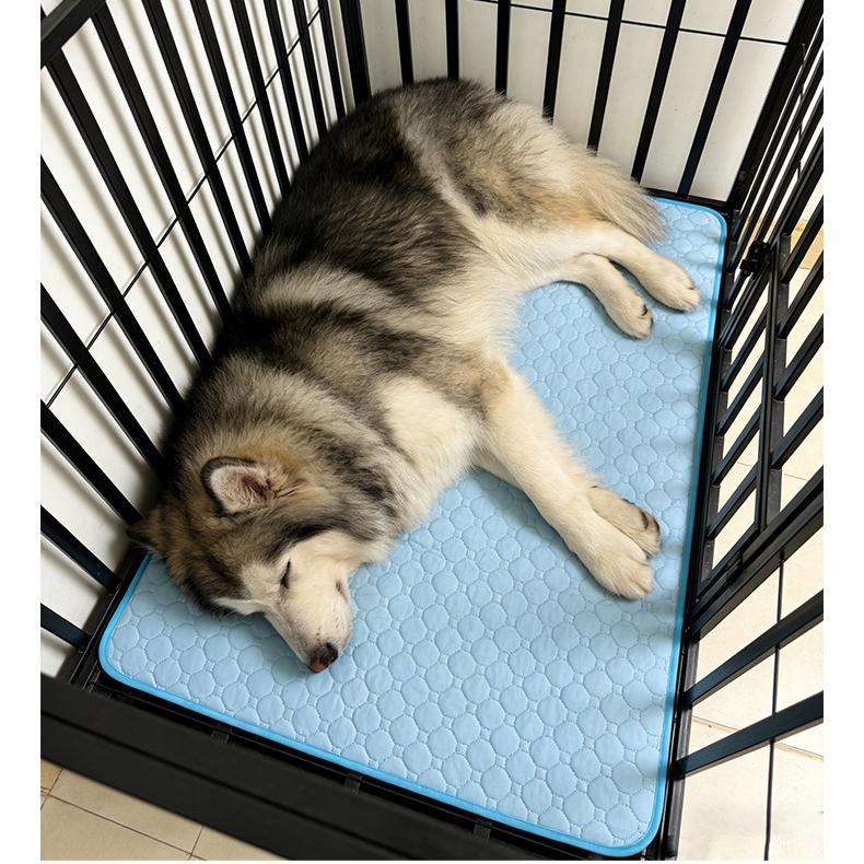 Multi-size Washable Pet Urine Mat, Anti-slip Waterproof Cooling Pad for Cats & Dogs