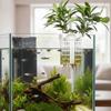 Uitschuifbare Haak Waterplantenhouder Veelzijdig Plantenkweekrek Plantenkweek