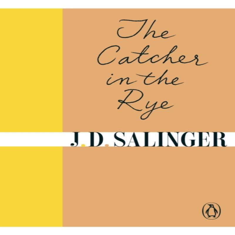 The Catcher in the Rye by J. D. Salinger Paperback Book 9780241950432