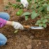 Hand Weeder Puller 5 In 1 Manual Hand Weeder & Weeds Puller For Planting Gardening Weeding Tool Stainless Steel Garden Trowel