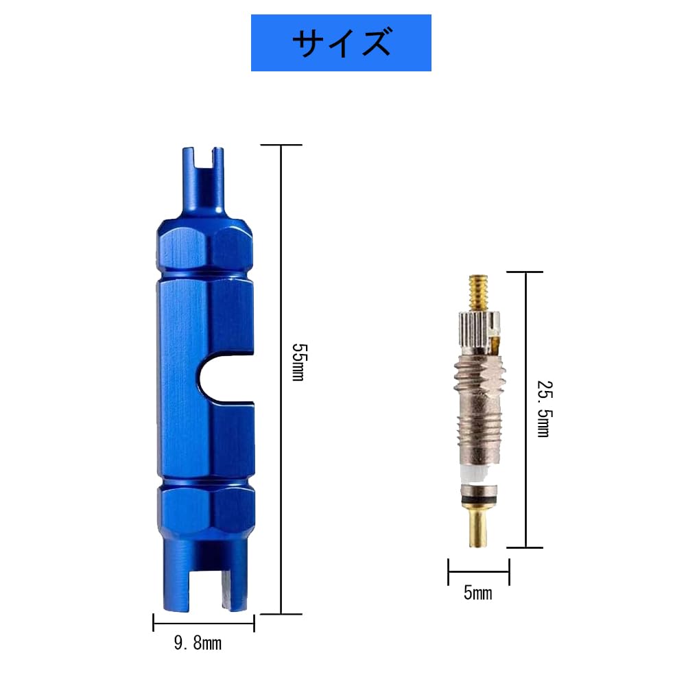 DFsucces Valve Core Tool Kit 10+1 Set Presta Valve Core