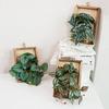 Simulated Plant Artificial Flower Decoraitons Wall Hanging Plant in Frame Home Garden Decors Outdoor Yard Artificial Plants
