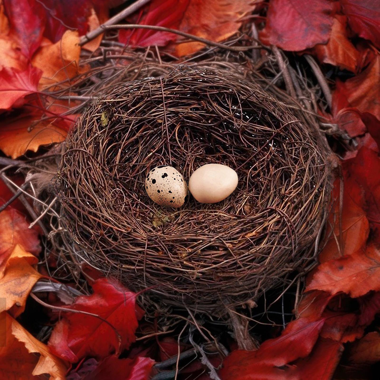 Handmade Bird House(Vine), Home Nature Craft Best Birds Nests One Size